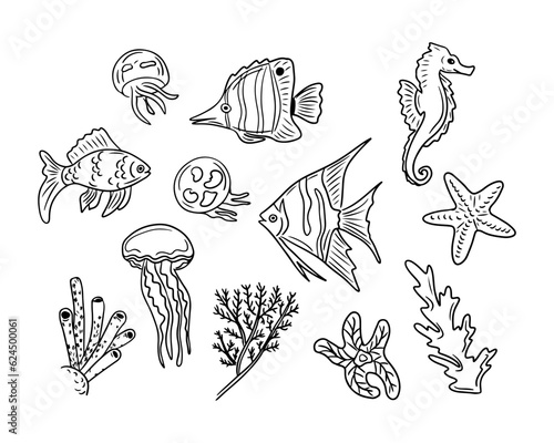 Set of hand drawn doodle sea fish. Vector isolated sketch creatures on white background. Unique outline design. Perfect for coloring pages, tatoo, wrapping paper, pattern, background
