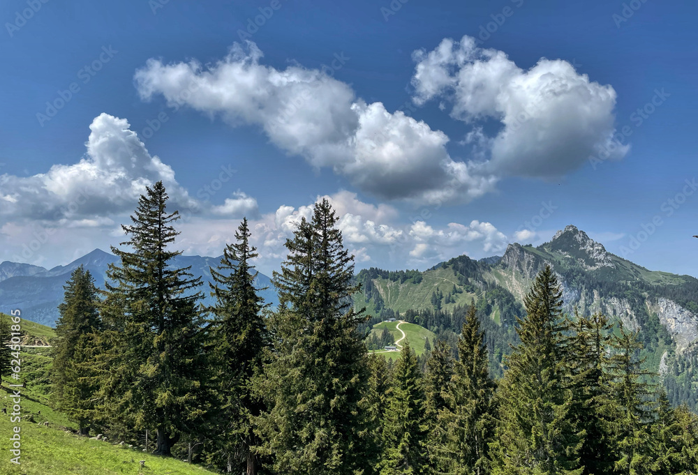 Blick vom Haberspitz zur Kampenwand mit Wolken am Sommerhimmel und Fichten im Vordergrund, Chiemgau, Alpen, Bayern, Deutschland