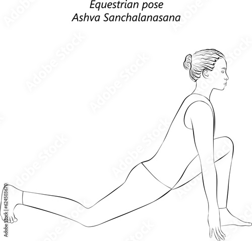 Sketch of young woman practicing yoga, doing Equestrian pose. Ashva Sanchalanasana. Arm Leg Support and Balancing. Beginner. Isolated vector illustration.