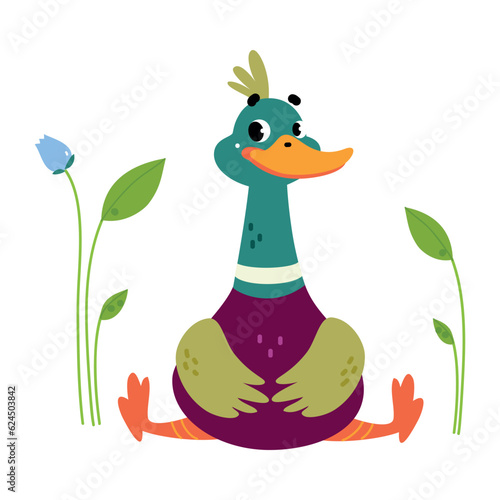 Funny Dabbling Duck Character with Wings Sitting Vector Illustration