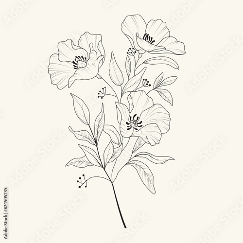 Line drawing flower vector illustration