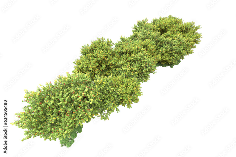 Fototapeta premium Landscape isolated on transparent background. 3d rendering - illustration
