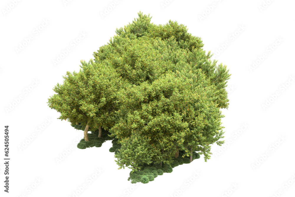 Fototapeta premium Landscape isolated on transparent background. 3d rendering - illustration