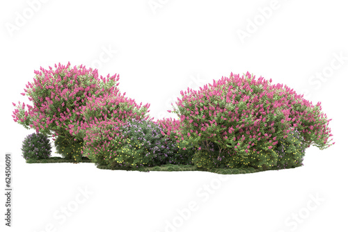 Landscape isolated on transparent background. 3d rendering - illustration