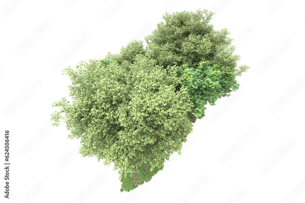 Landscape isolated on transparent background. 3d rendering - illustration Landscape isolated on transparent background. 3d rendering - illustration