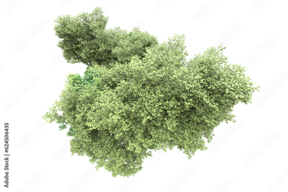 Obraz premium Landscape isolated on transparent background. 3d rendering - illustration