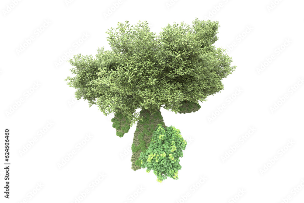 Obraz premium Landscape isolated on transparent background. 3d rendering - illustration