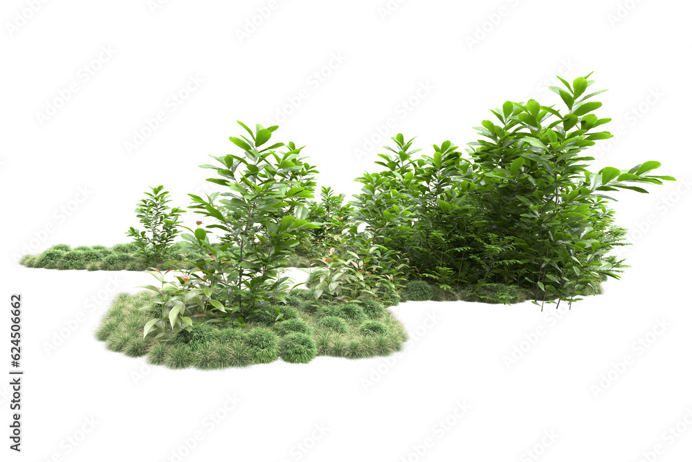 Fototapeta premium Landscape isolated on transparent background. 3d rendering - illustration