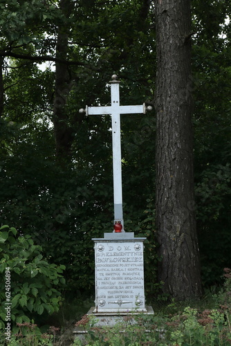 Burials of the parents of the Polish writer Eliza Orzeszko. Necropolis of Pavlovsky. The burial is located on the right side of the road Zalesna - Puzynovtsy. Belarus photo