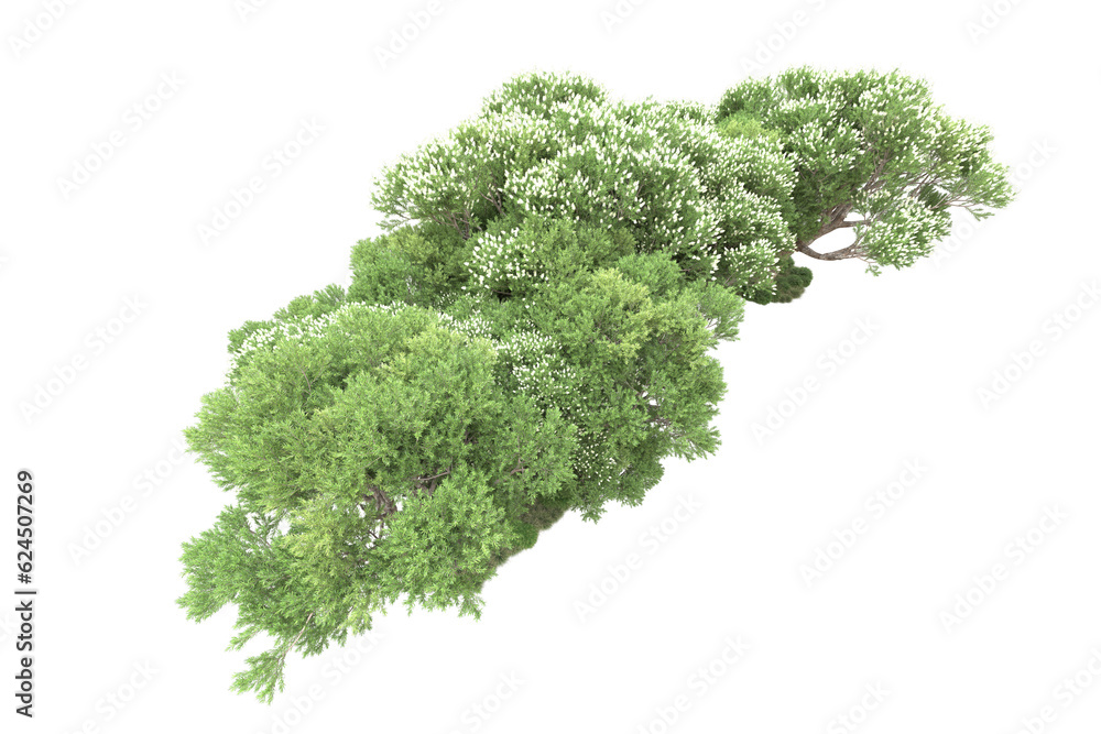 Obraz premium Landscape isolated on transparent background. 3d rendering - illustration