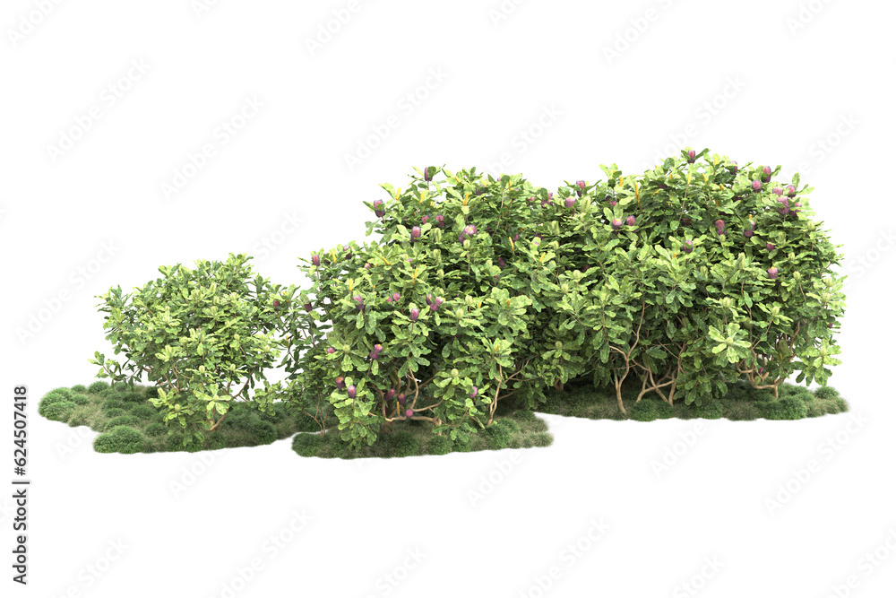 Landscape isolated on transparent background. 3d rendering - illustration Landscape isolated on transparent background. 3d rendering - illustration