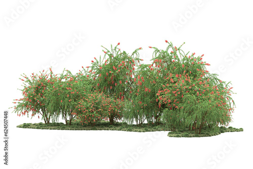Landscape isolated on transparent background. 3d rendering - illustration