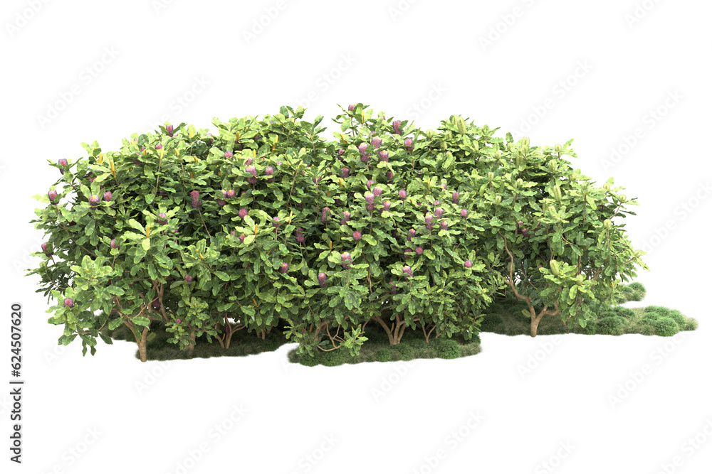 Fototapeta premium Landscape isolated on transparent background. 3d rendering - illustration