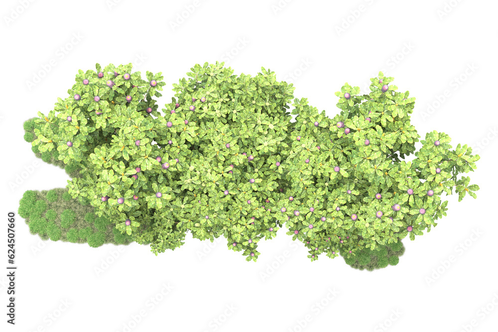 Landscape isolated on transparent background. 3d rendering - illustration Landscape isolated on transparent background. 3d rendering - illustration