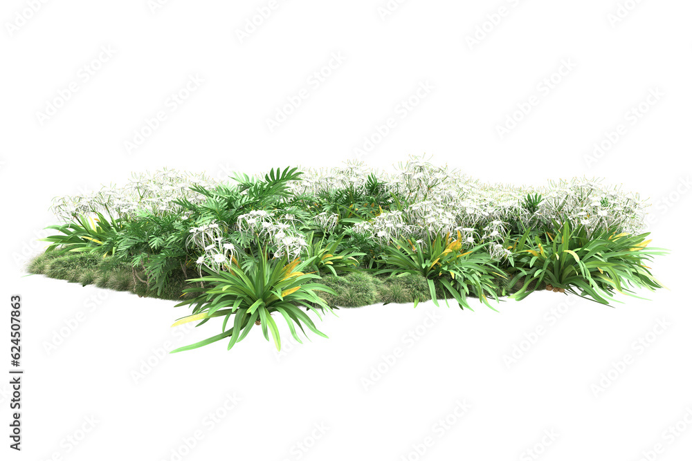 Fototapeta premium Landscape isolated on transparent background. 3d rendering - illustration