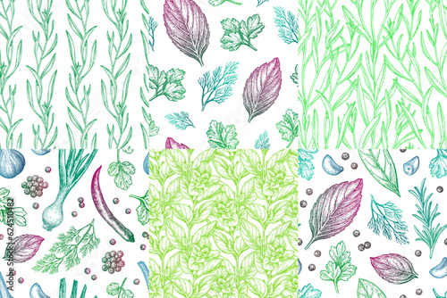 Collection of seamless patterns with herbs.