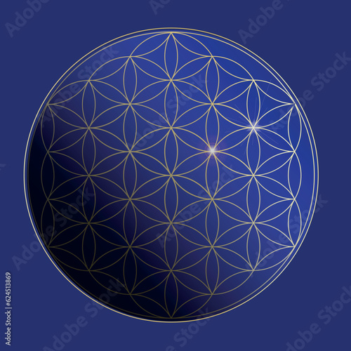 flower of life in vector style set of linear image