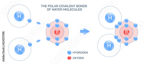 The polar covalent bonds of water. Weakly positive and negative planetary model of water molecule. Structural and molecular formula of water molecule vector illustration. Molecular structure of water.