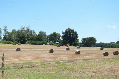 Ballot de foin rond dans un champ photo