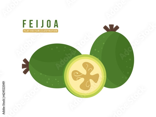 Feijoa whole and half fruit isolated on white background. Flat illustration of Feijoa sellowiana or Acca Sellowiana. The feijoa pulp is used in some natural cosmetic products as an exfoliant. Vector photo