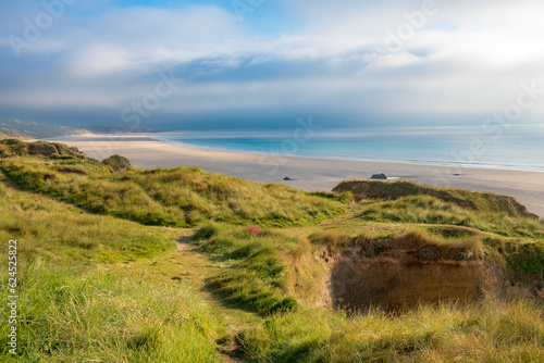 Gwithian beach Cornwall. Beautiful grassland on top of the cliff