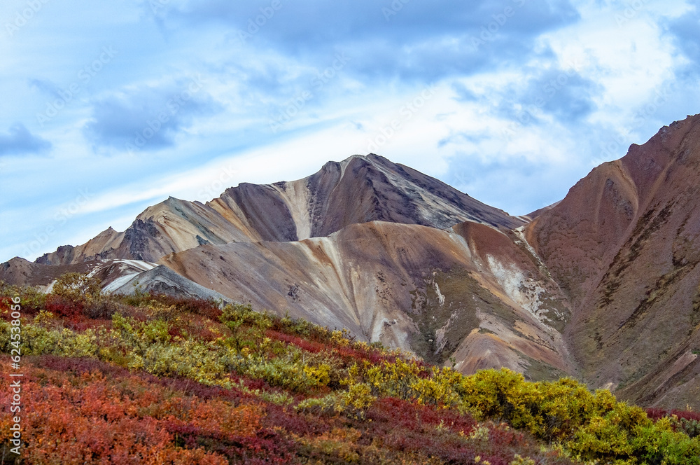 Colorful tundra backed by mountains under a partly cloudy blue sky in Denali National Park Colorful tundra backed by mountains under a partly cloudy blue sky in Denali National Park