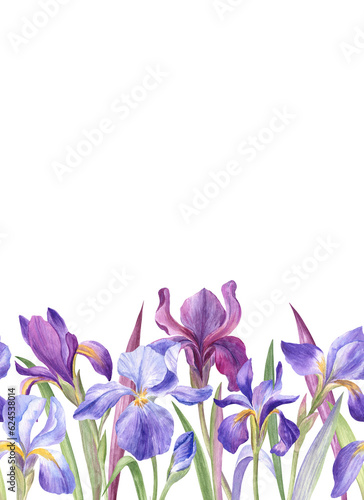 Iris flowers seamless border and the greeting card. Watercolor illustration
