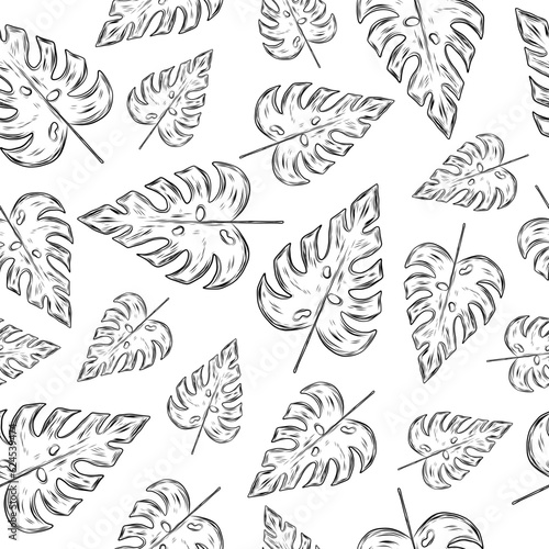 Black and white seamless pattern with monstera leaf in hand drawn sketch style. Vector illustration