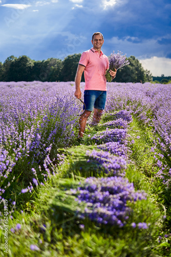 Fototapeta Naklejka Na Ścianę i Meble -  Lavender farmer at harvest
