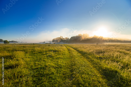 The road through the field with grass and fog at dawn