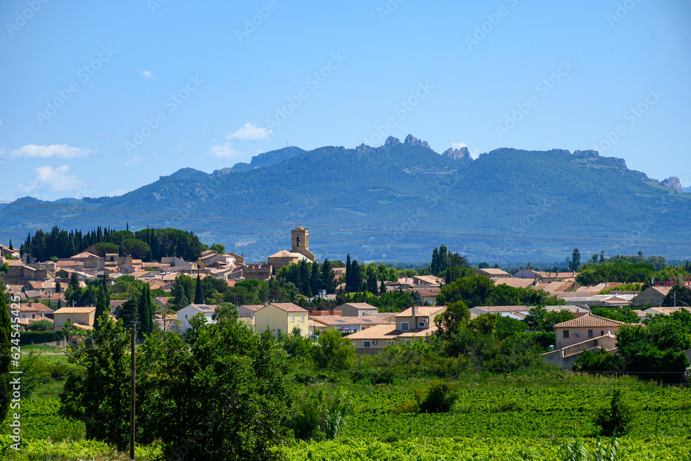 Vineyards of Chateauneuf du Pape appellation with grapes growing on soils with large rounded stones galets roules, on Ventoux mountain, famous red wines, France