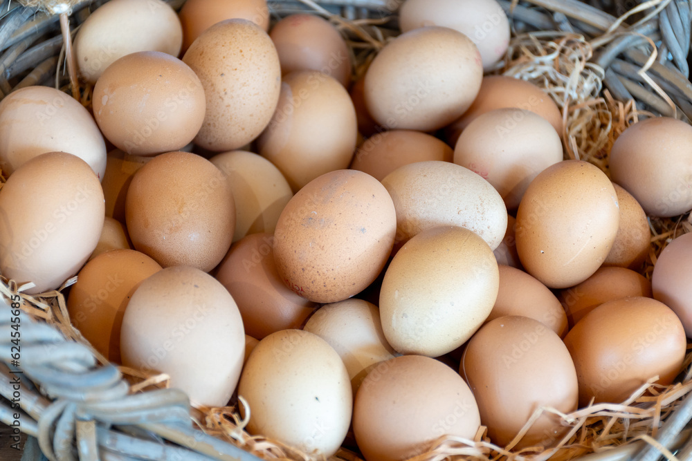 Organic brown chicken eggs from free-range farm in basket Organic brown chicken eggs from free-range farm in basket