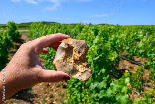 Sample of soil, flint stone, vineyards of Pouilly-Fume appellation, making of dry white wine from sauvignon grape growing on different types of soils photo
