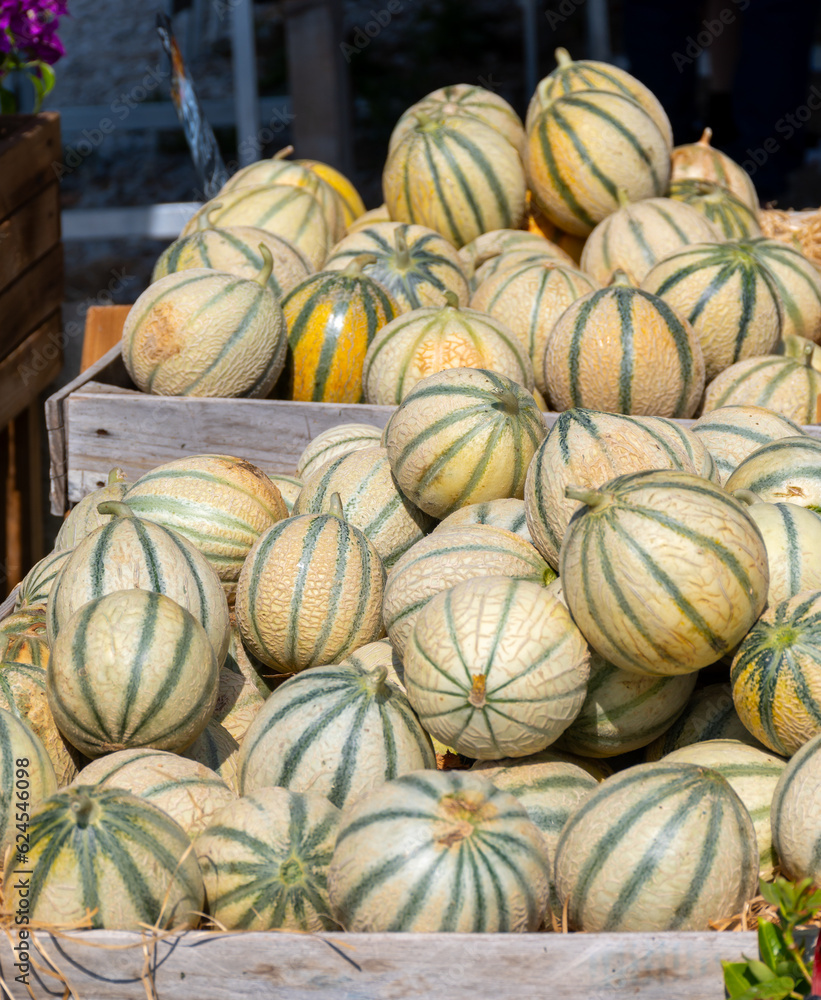 Melons from Cavaillon, ripe round charentais honey cantaloupe melons on market in Provence, France