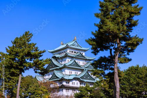 秋の名古屋城天守閣　愛知県名古屋市