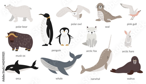 Vector set of polar animals with names. Marine mammals and birds. Whale, narwhal, walrus, polar owl, polar bear, penguins. Vector illustration in flat style. Banner, poster. Isolated objects. 