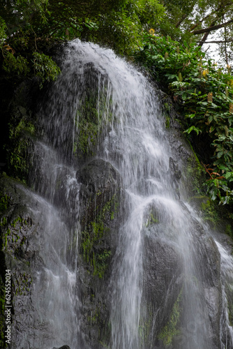 Fototapeta Naklejka Na Ścianę i Meble -  Waterfall in the Botanical Garden of Ribeira do Guilherme in Nordeste with tourists, Sao Miguel island in the Azores.