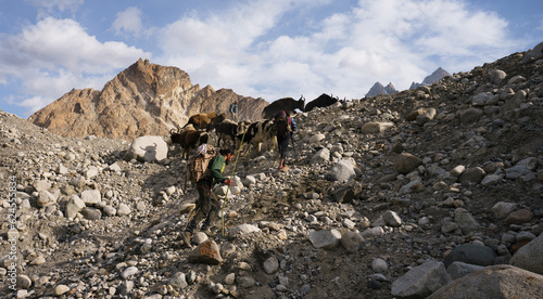 Lahore, Pakistan - 10 February 2022: View of sheepherders taking Yaks to higher pastures, Batura Glacier valley in Hunza, Gojal Valley, GIlgit Baltistan, Pakistan, Karakoram Range of the Himalayas. photo