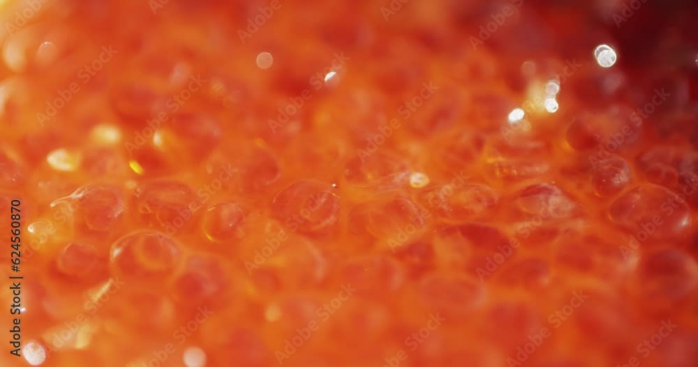Close up macro of red caviar in can, rotation shot, canned fish red caviar. Close up macro of red caviar in can, rotation shot, canned fish red caviar.