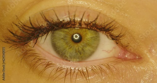 Close up of woman girl eye with long eyelashes, Beautiful green Eye of Young Woman Opening Up And Closing. photo