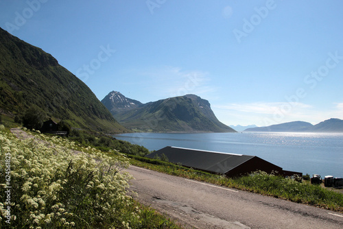 Village on the shore of a fjord, road with grass by the side of the road with a view of the sea and mountains, a bay in the mountains