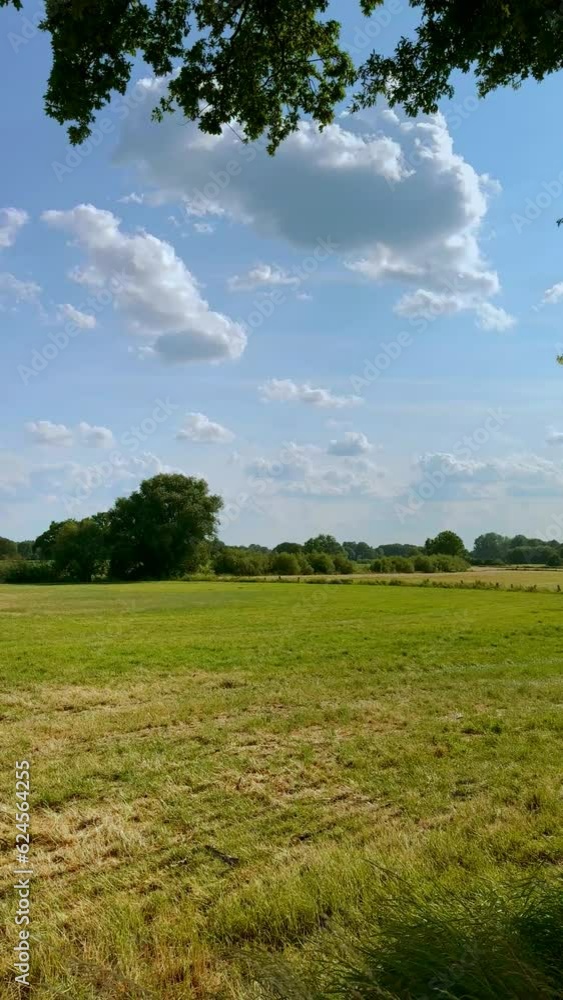 Green grass fields in countryside Germany, in sunny summer day. vertical video background. Green grass fields in countryside Germany, in sunny summer day. vertical video background.