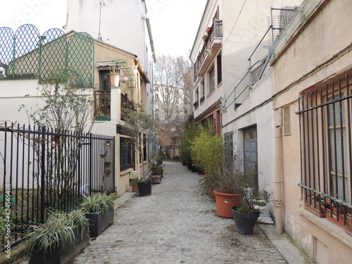 Narrow street in Paris - Cité Leroy - 20ème arrondissement 