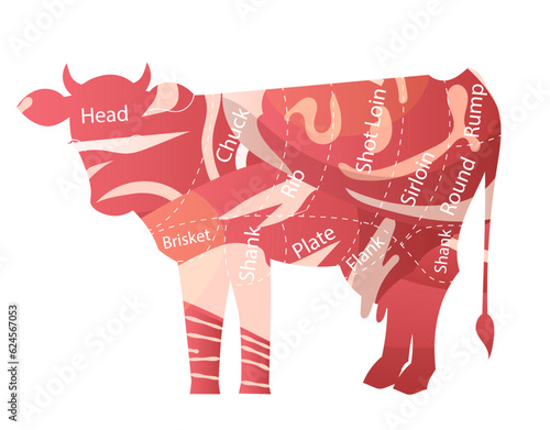 Beef cuts diagram, cow frame with meat inside vector illustration