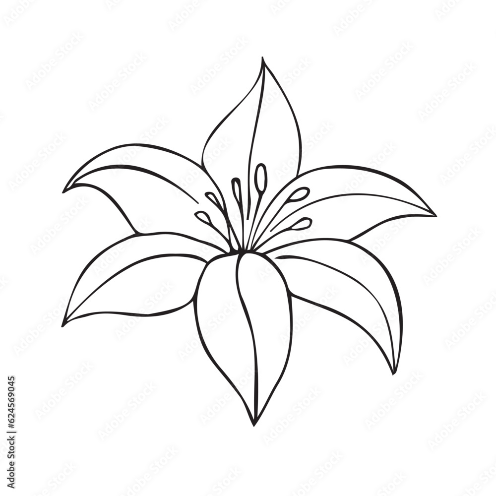 Vector hand drawn doodle sketch Lilly flower isolated on white background Vector hand drawn doodle sketch Lilly flower isolated on white background