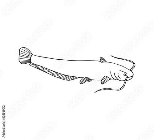 Vector hand drawn doodle sketch catfish fish isolated on white background