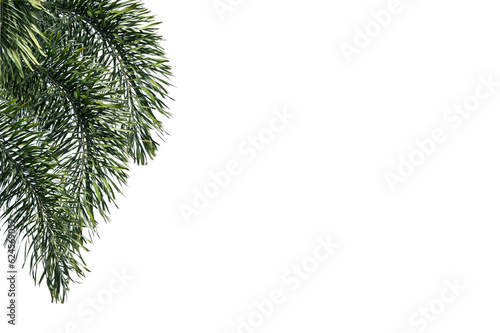 christmas tree branches