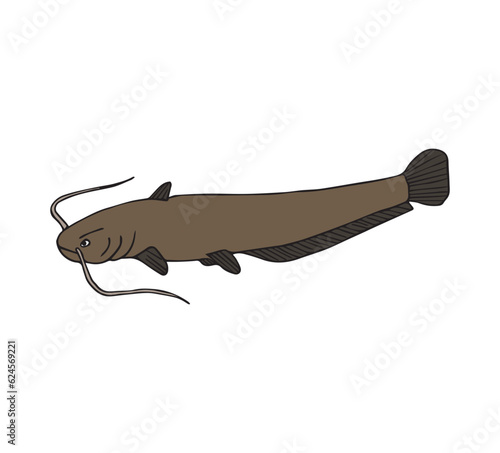 Vector hand drawn doodle sketch colored catfish fish isolated on white background
