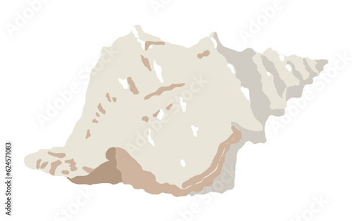 Hand-painted illustrations of 'Triton shell' as fish, shellfish and mollusks living in the sea.