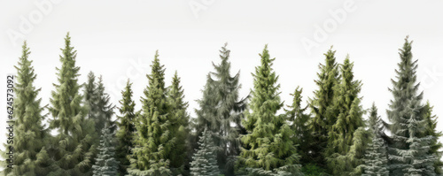A beautiful winter forest with a row of trees standing tall against a serene white background. AI Generative.